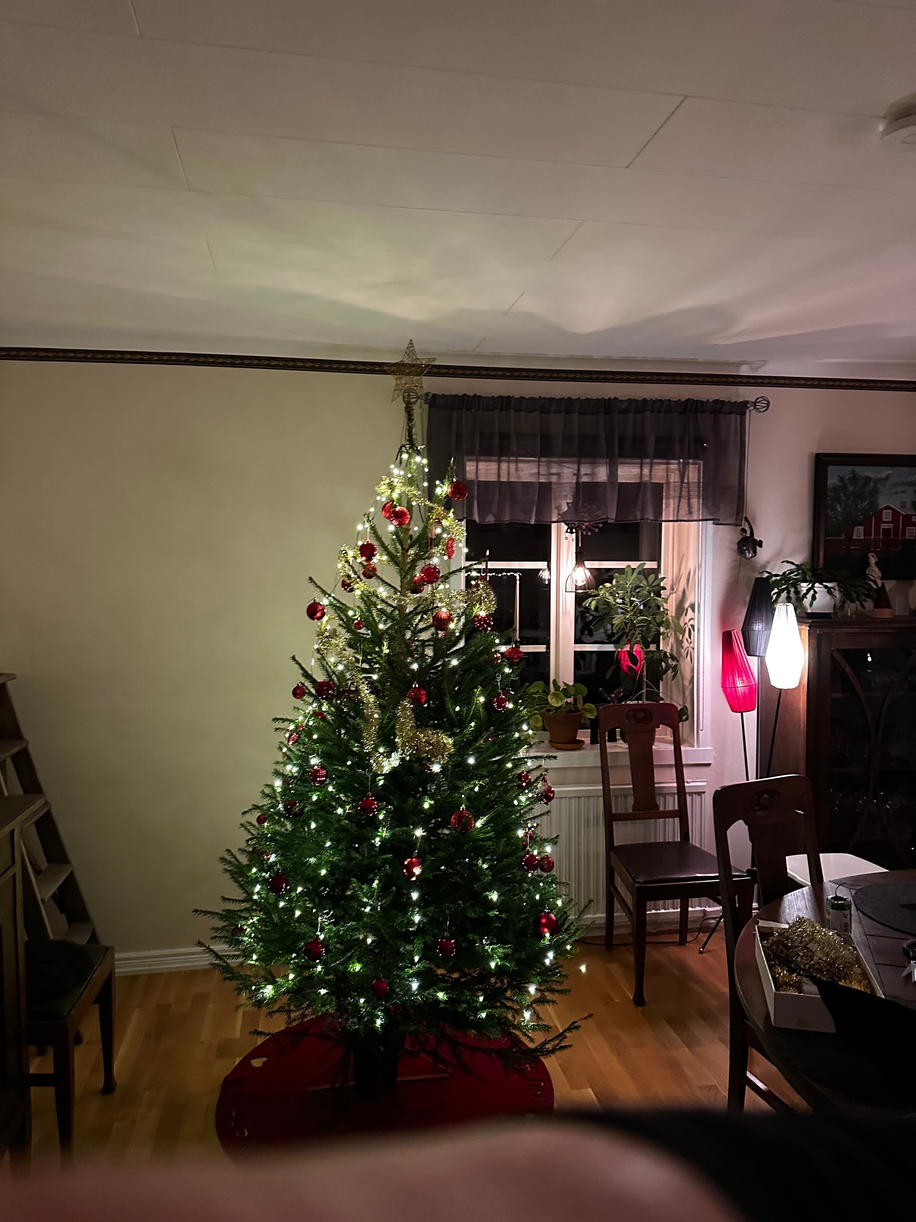 En bild på en julgran